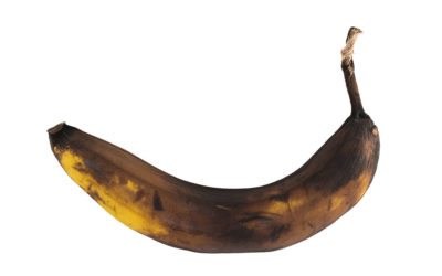 Has Your Credibility Banana Turned Brown?