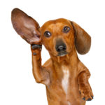 Listen Up and Move Up